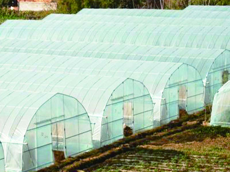 Hydroponics farm tunnel agricultural greenhouse