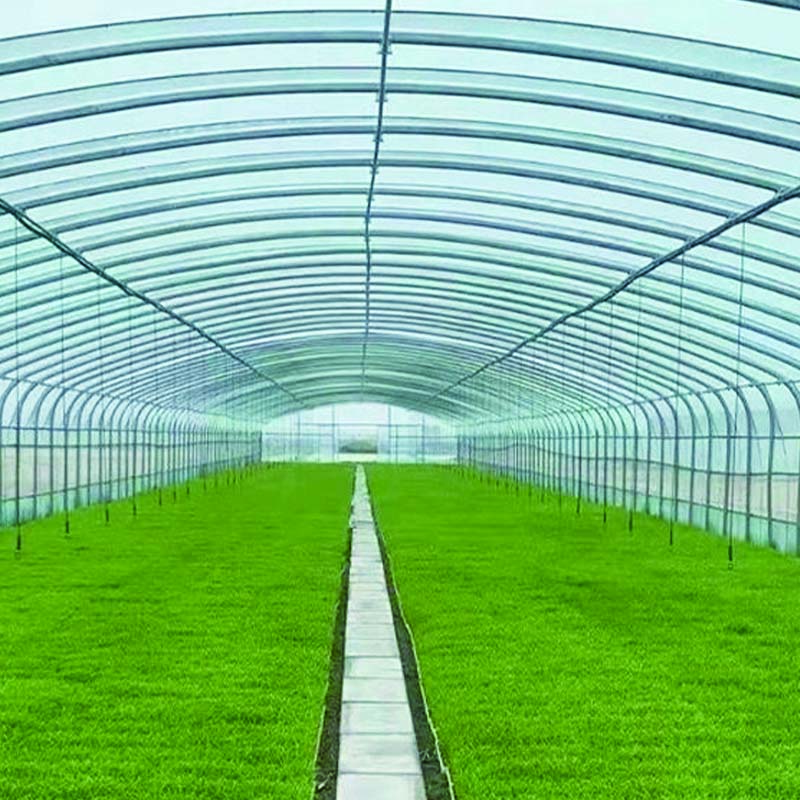 Best quality custom agricultural greenhouse