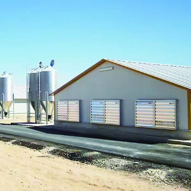 High quality poultry farm house