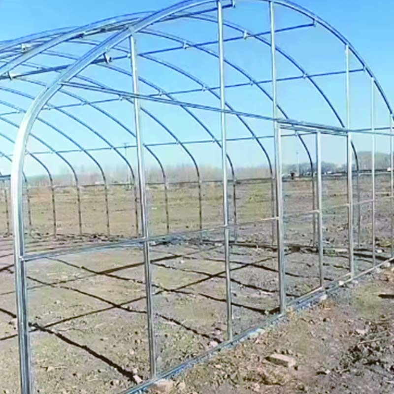 High quality hydroponics farm tunnel agricultural greenhouse