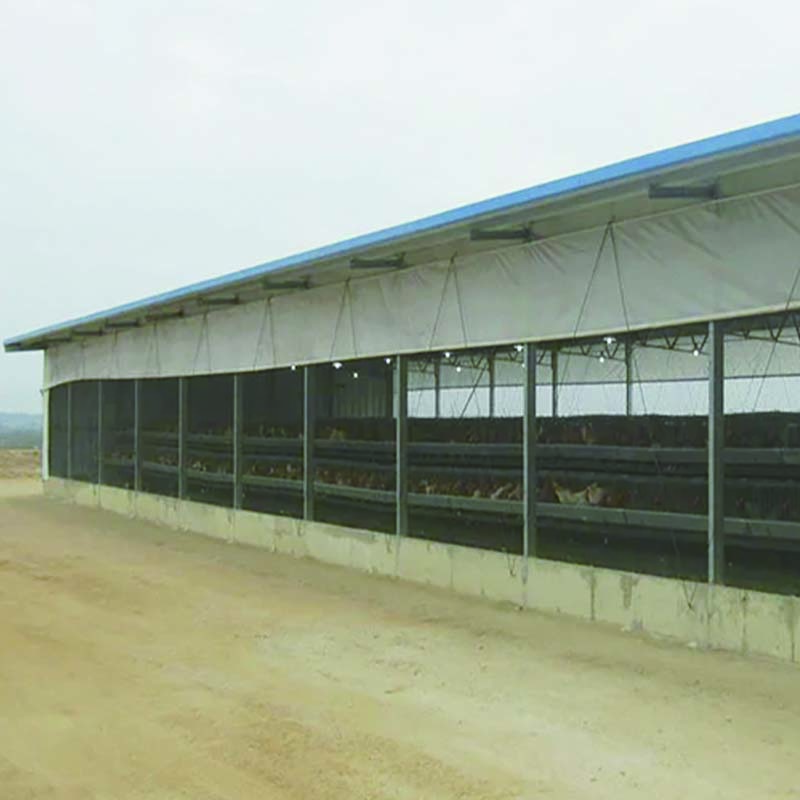 Modern poultry house with best quality