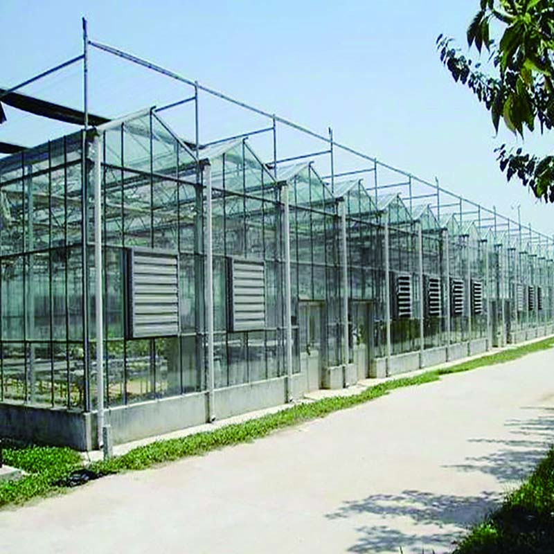 Agriculture Commercial Greenhouse