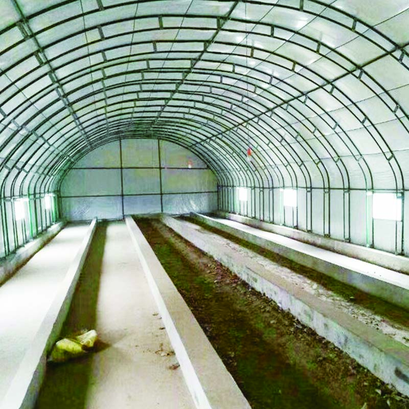 Best quality farm greenhouse for sale