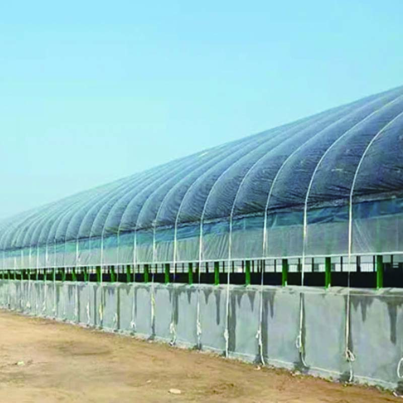 High quality greenhouse farming price greenhouse farming companies