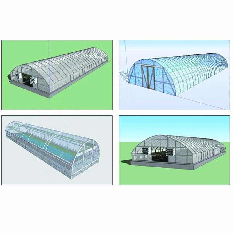 High quality green house for agriculture dragon fruit farming in polyhouse