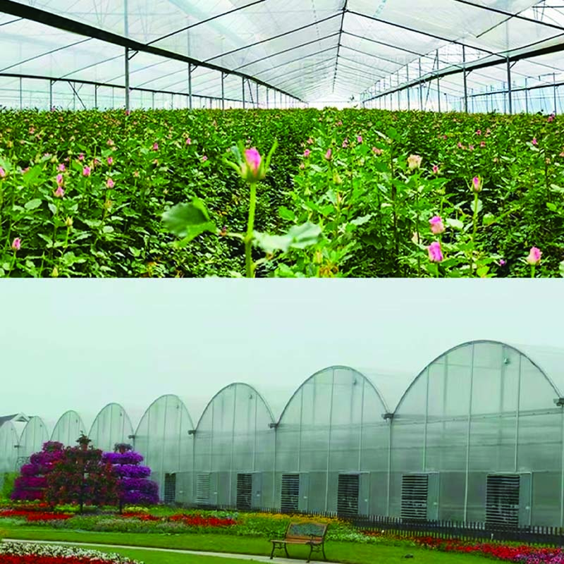 High insulation greenhouse farming agricultural greenhouse with best quality