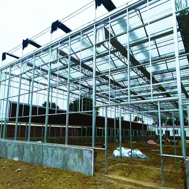 the advantages of polyhouse vegetable farming use glass