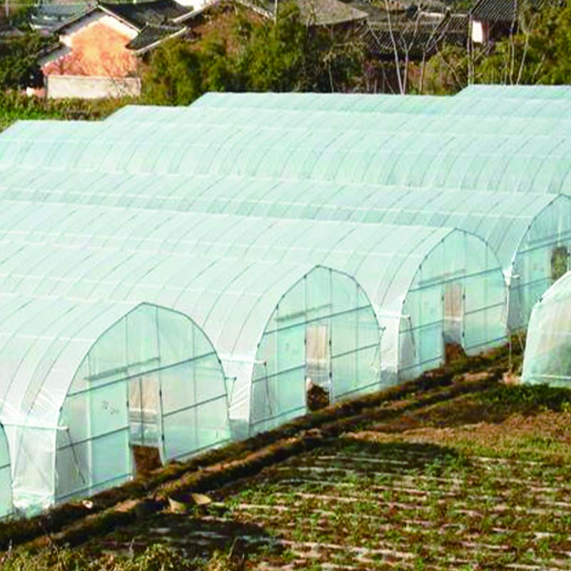 Baise knowledge of hydroponic greenhouse farming