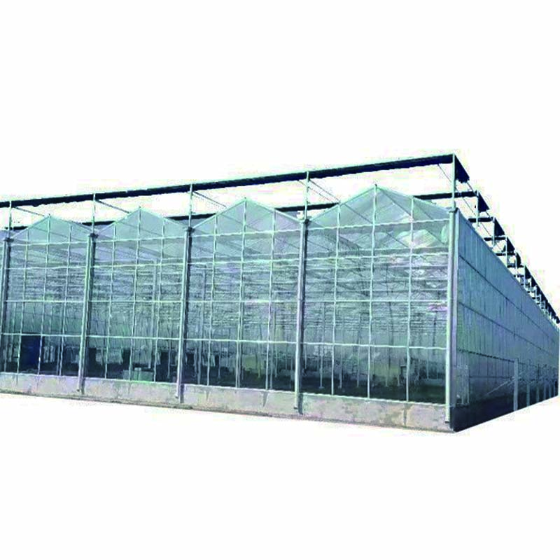 modern greenhouse farming with glass for sales