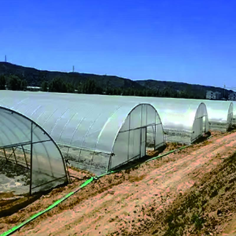 what is industrial agriculture greenhouse